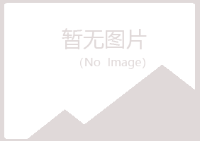 日照岚山现实能源有限公司